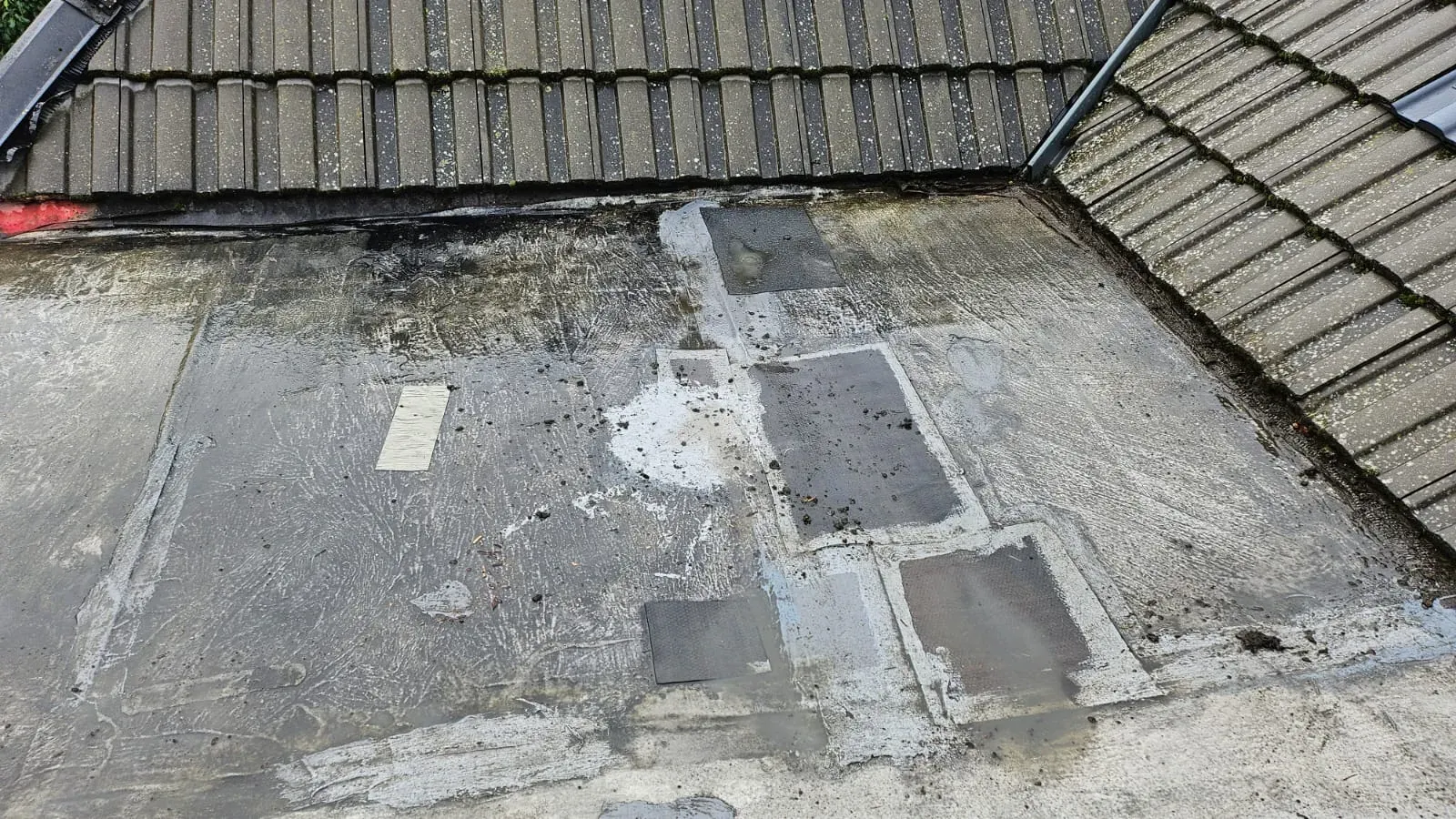 Roof Repairs service by Rooflex Roofing Solutions